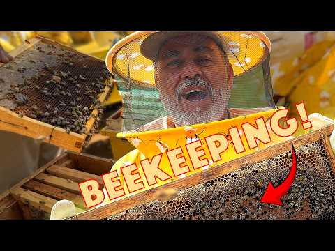 Beekeeping For a Day 🐝 Trying Not to Get Stung😅