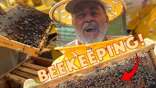 Beekeeping For A Day 🐝 Trying Not To Get Stung😅