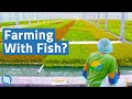 Is Aquaponics the Future of Agriculture
