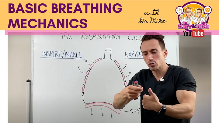 Basic Breathing Mechanics
