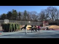 Andover Youth Services Tree Lot