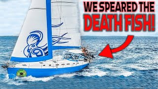 We Were POISONED! SAILBOAT Spear-It-Animal Meets Captain Jack Spearo!