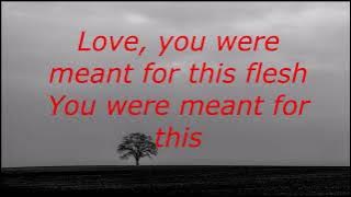 Lacey Sturm - Heavy Prey lyrics