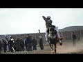 فرسان بئر العاتر-تبسة