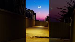 SURAH ANAAM JUST URDU 📖TRANSLATION❣️#allah #shortvideo #quranrecitation #viralshorts #quran #shorts