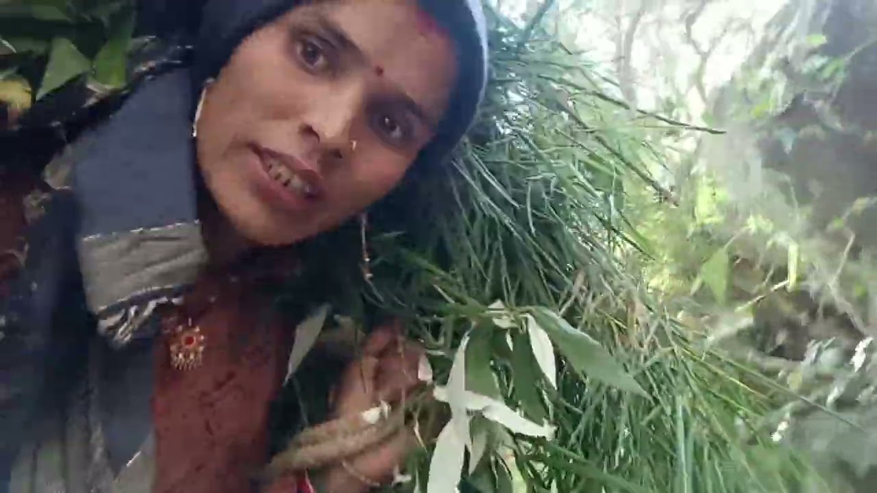 आज हमने जंगल में यह क्या देख लिया 😱😰