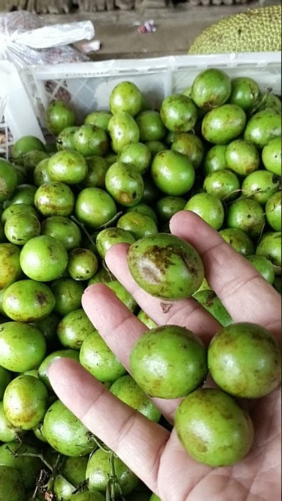 Buah Gandaria /Sota dari Kalimantan