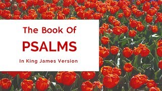 The Book Of Psalms Chapter 148