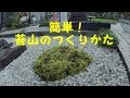 苔山のつくりかた「スナゴケ」Japanese Moss Garden