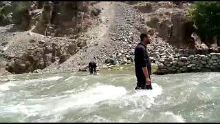 'Crossing beautiful high speed water stream and net fishing at side #dangerous and #risky#adventure