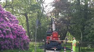 Sonsbeek Park Arnhem 21-05-2026 - Bomen werkzaamheden