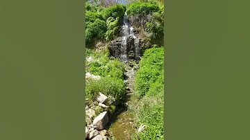 ينابيع السلط وربيعها 