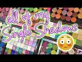 What's In My Magnetic Palettes | Hint: It's ALOT