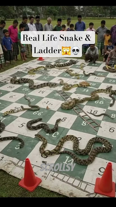 Ular Tangga Kehidupan Nyata😱