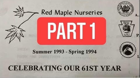 Red Maple Nurseries Collection Part 1 - JAPANESE MAPLE SHOWCASE