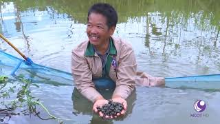 คนไทยหัวใจเกษตร  27 มิถุนายน 2562 B3