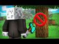 GIOCO A MINECRAFT SENZA ROMPERE BLOCCHI