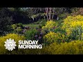 Nature: Chanticleer Garden