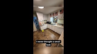 How a Small Leak Became a Big Problem - Real Customer Story