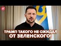 🔥ГОРЯЧАЯ НОВОСТЬ! Зеленский ПУБЛИЧНО ОТВЕТИЛ Трампу. Громкое заявление ПОДОРВАЛО СЕТЬ! Послушайте