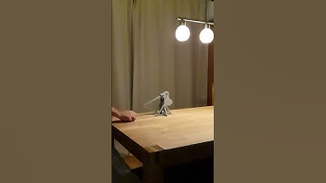 3D printed Mini Trebuchet firing Chestnut