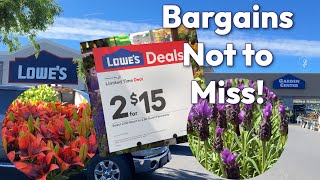 May Bargains at Lowes Garden Center - PERENNIALS, ANNUALS & PROVEN WINNERS!