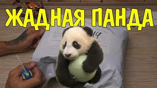 Большая Посылка из КИТАЯ !!! Простые но Необычные Товары