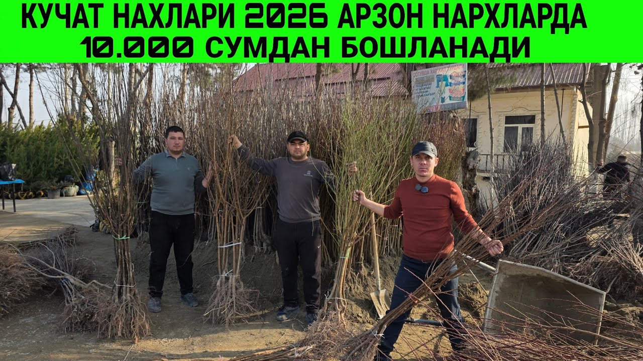 КУЧАТ НАРХЛАРИ 2026 KO'CHAT NARXLARI 2026 ARZON.JOYIDAN OXIRAGACHA KORING
