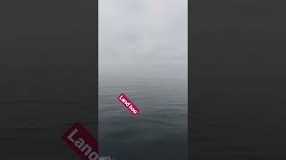 frank George's island