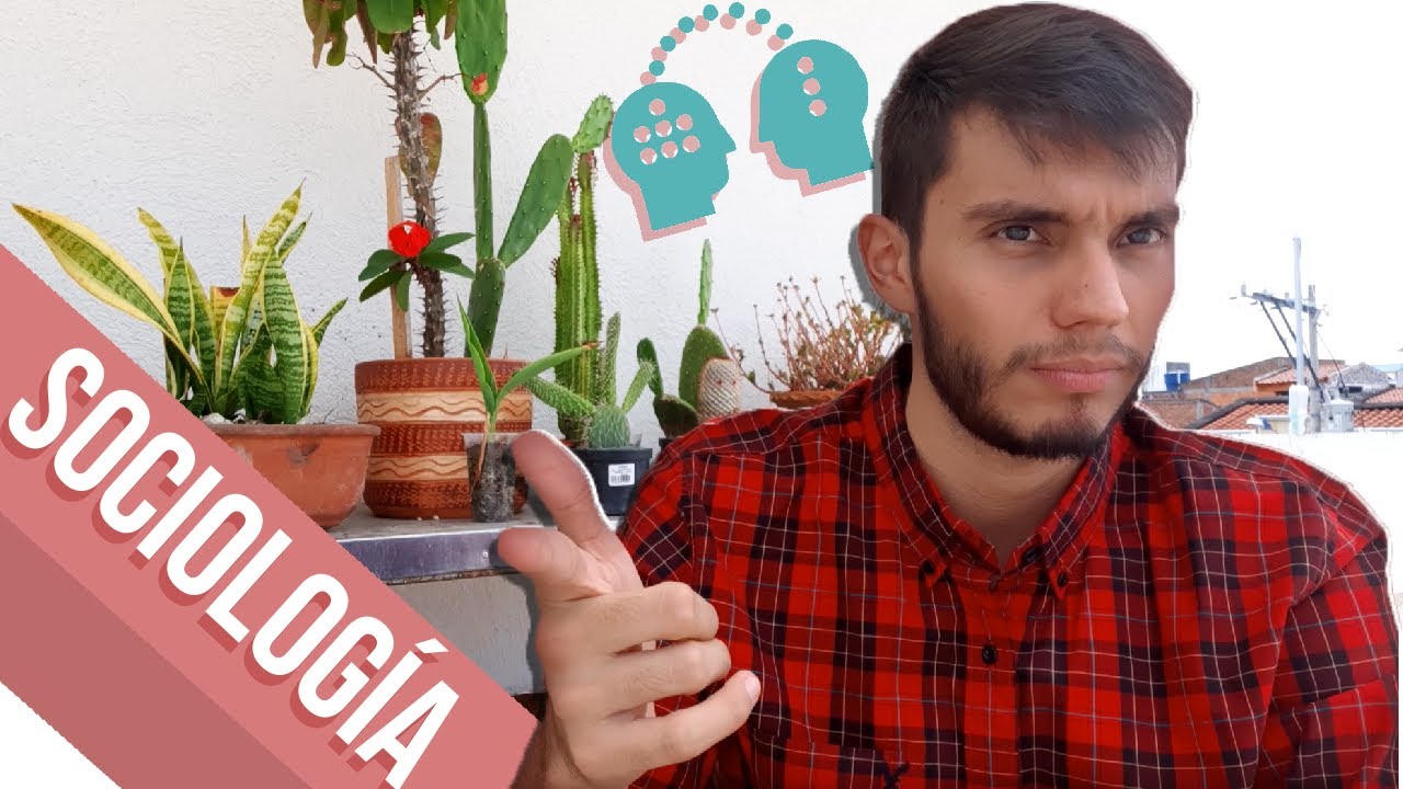 Qué se Aprende en la Carrera de SOCIOLOGÍA - YouTube