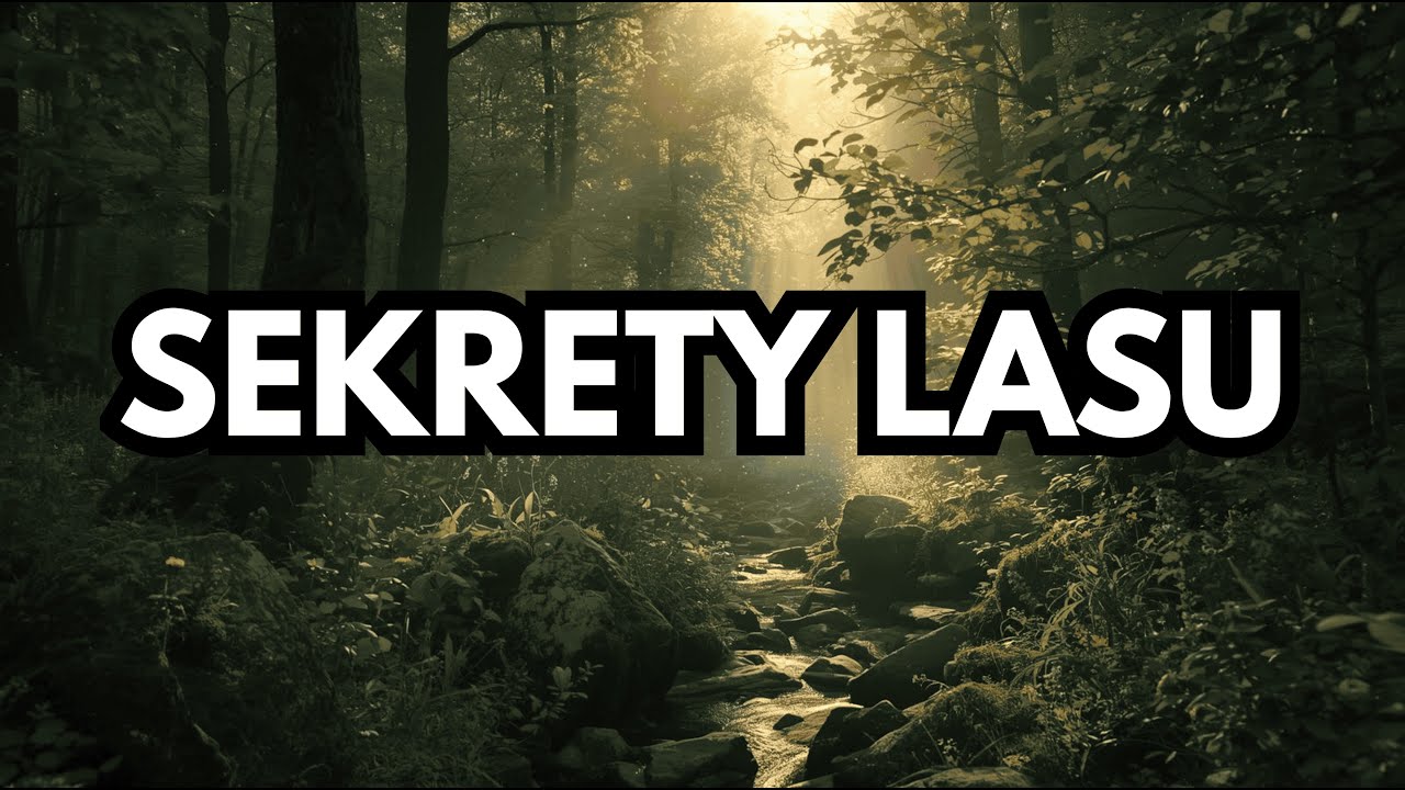 Słowiańska Dusza – 🌿SEKRETY LASU🌿 | Regeneracja | Wyciszenie | Muzyka Relaksacyjna | Slavic |