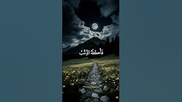 قرآن كريم#CapCut #تلاوة #تلاوة خاشعة #قران_كريم_ارح_سمعك_وقلبك  #♥🙂قران الشيخ سيد سعيد 🤍 _القرآن _