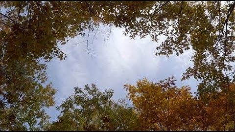 Autumn in my heart OST - Yiruma 30 min loop
