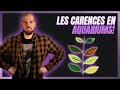 LES CARENCES DES PLANTES EN AQUARIUMS!