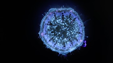 Laser Ablation Tomography Example