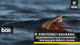 видео: Pontoon21 Kalikana: подповерхностный роллербейт… или шед для любого сезона! Anglers Box картинка: Pontoon21 Kalikana: подповерхностный роллербейт… или шед для любого сезона! Anglers Box