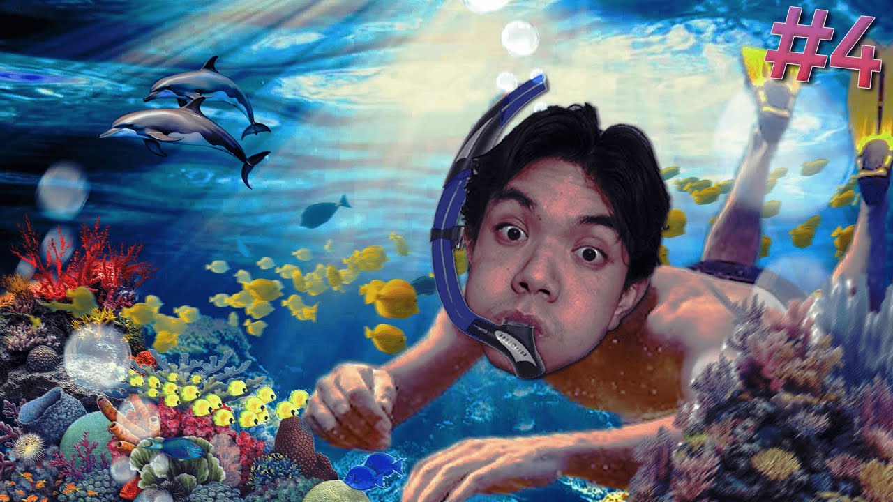 On part faire de la plongée avec DES DAUPHINS (Vlog Canaries #4)