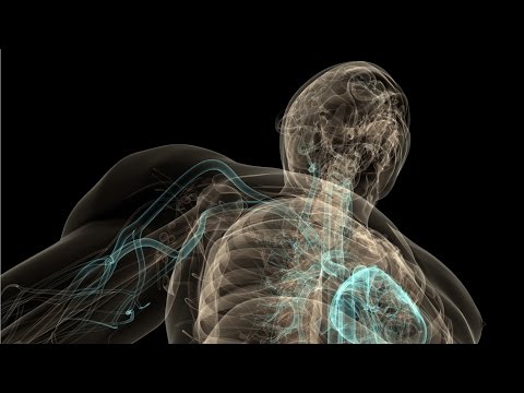 Video: Avtonom Sinir Sistemi Nədir