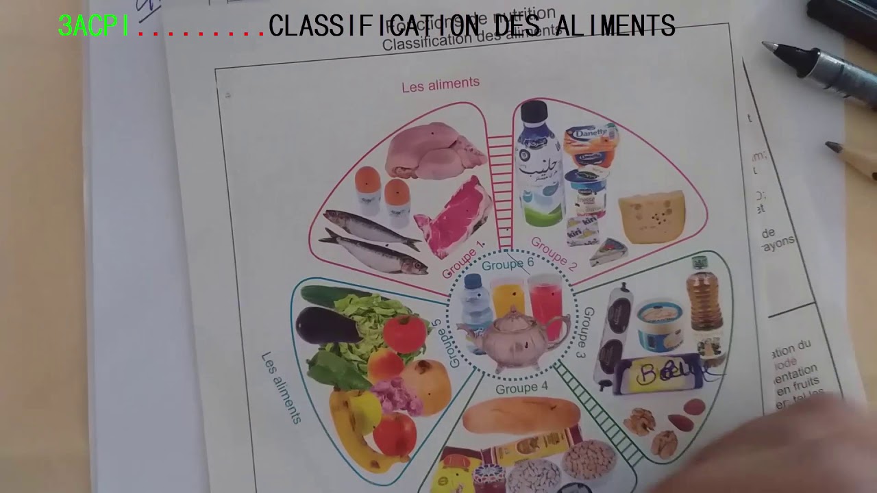 3AC BIOF Classification des aliments
