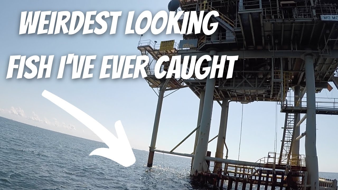 Speckled Trout And RIG FISHING + *FREE FISHING TRIP GIVEAWAY DETAILS!*