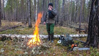 Глухари под собакой. Медвежья 