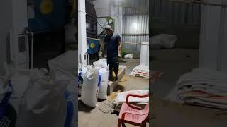 MESIN PENGGILING PADI #ricegrindingmachine #teknologihasilpertanian #harvest