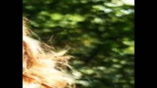 John Austin - Dreaming screenshot 5