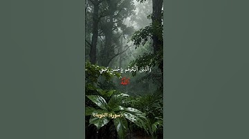 سورة التوبة أية 100 #الشيخ#ياسر_الدوسري #سورة_التوبة