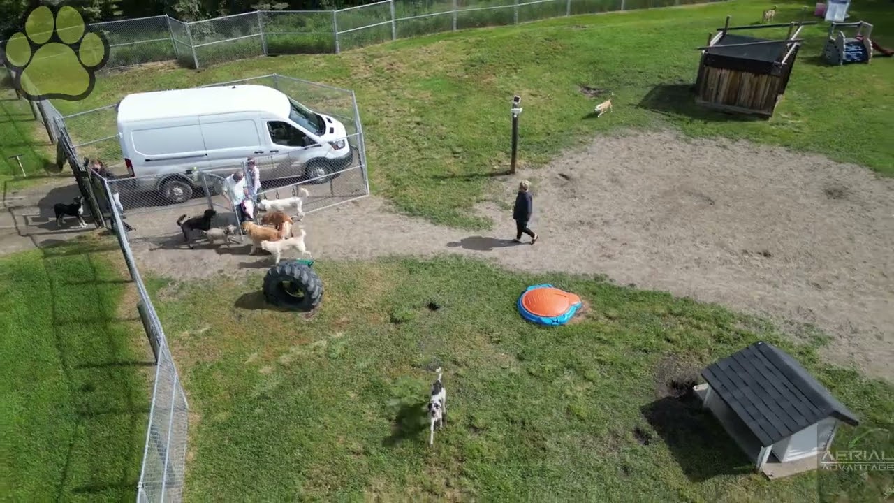 Paw Springs Pet Resort & Spa