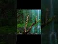 #travel #explorepage #nature #waterfall #waterfall #trendingshorts #trending