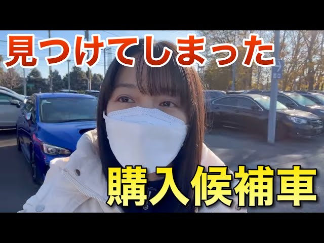 【キャスバル様】リピート＆おまとめ依頼ありがとうございます Purchase Potential] I was looking at used car information and