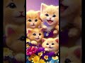 صباح الفل عصام صاصا اعذريني صباح الفل عصام صاصا اعذريني