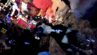 Dog attacking Bubbles