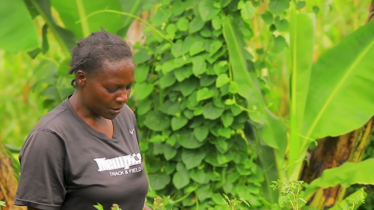 OROGENDO RWANE ENSEYE AS SUNG BY THE COMPOSER AND TRAINER JACKLINE NYARIBO OF TINGA VILLAGE